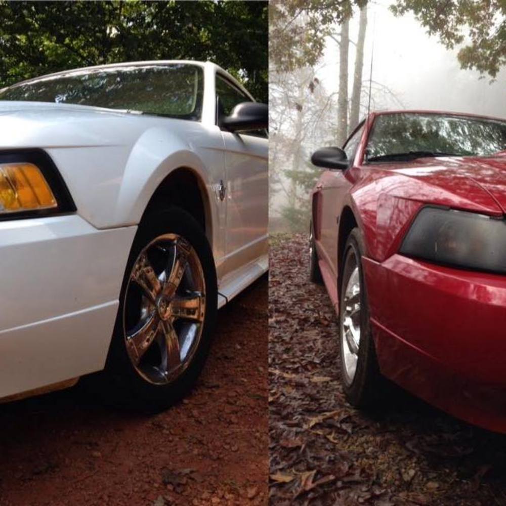 Meet your Posher, Traci